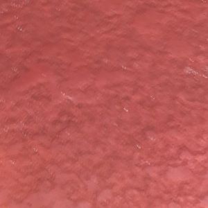 Meet your Posher, Marcela